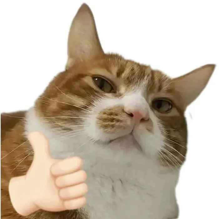 Tổng hợp 238+ meme mèo like cực đỉnh khiến bạn cười xỉu