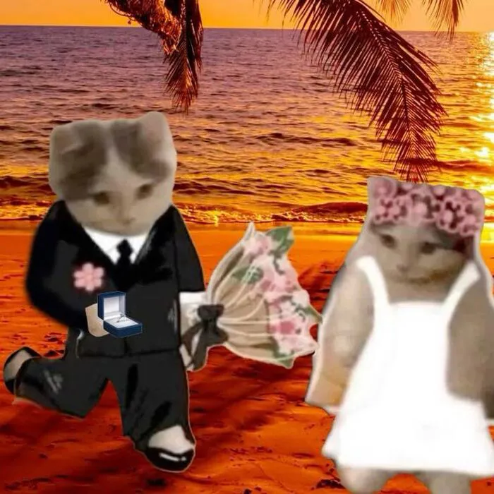 108+ meme mèo tặng hoa đáng yêu khiến bạn 108+ meme mèo tặng hoa đáng yêu khiến bạn