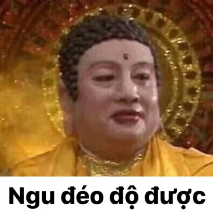 Meme ngu