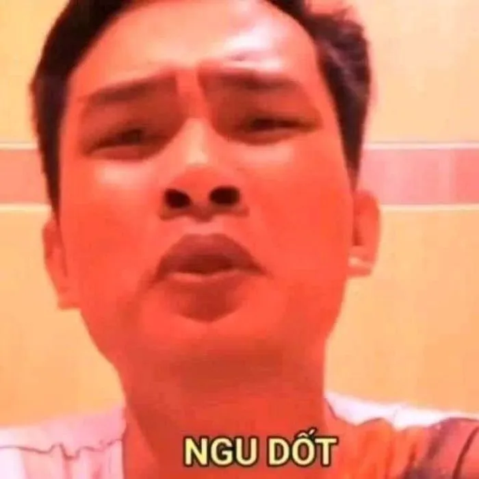 Meme ngu