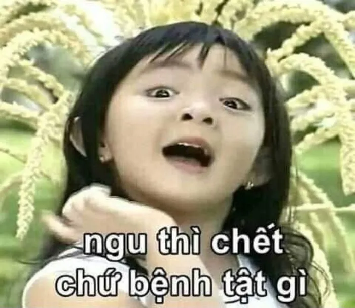 Meme ngu