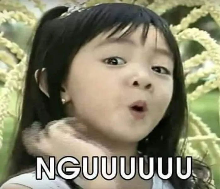 Meme ngu