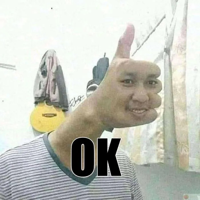 Top 108+ meme ok hài hước, độc đáo cho mọi tình huống