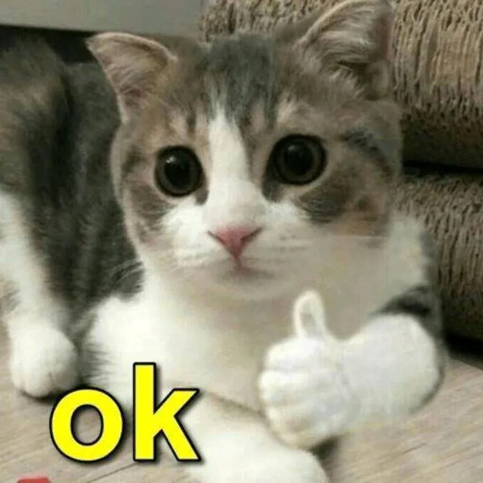 Top 108+ meme ok hài hước, độc đáo cho mọi tình huống