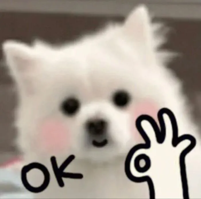 Top 108+ meme ok hài hước, độc đáo cho mọi tình huống