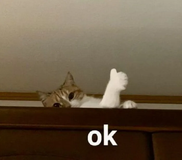 Top 108+ meme ok hài hước, độc đáo cho mọi tình huống