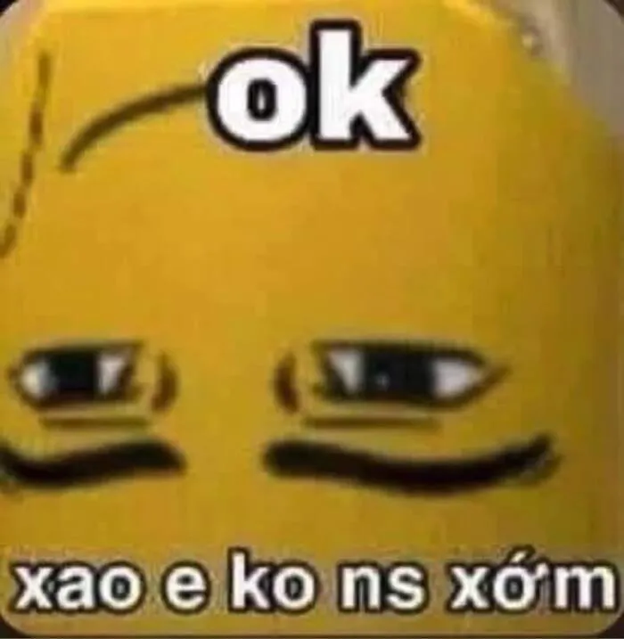 Top 108+ meme ok hài hước, độc đáo cho mọi tình huống