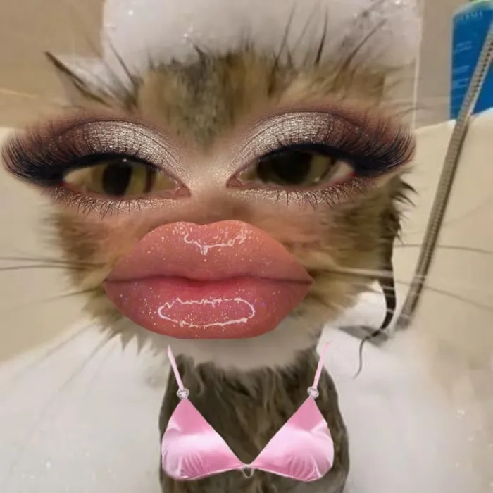 Tuyển tập 108+ meme slay hot nhất hiện nay Tuyển tập 108+ meme slay hot nhất hiện nay