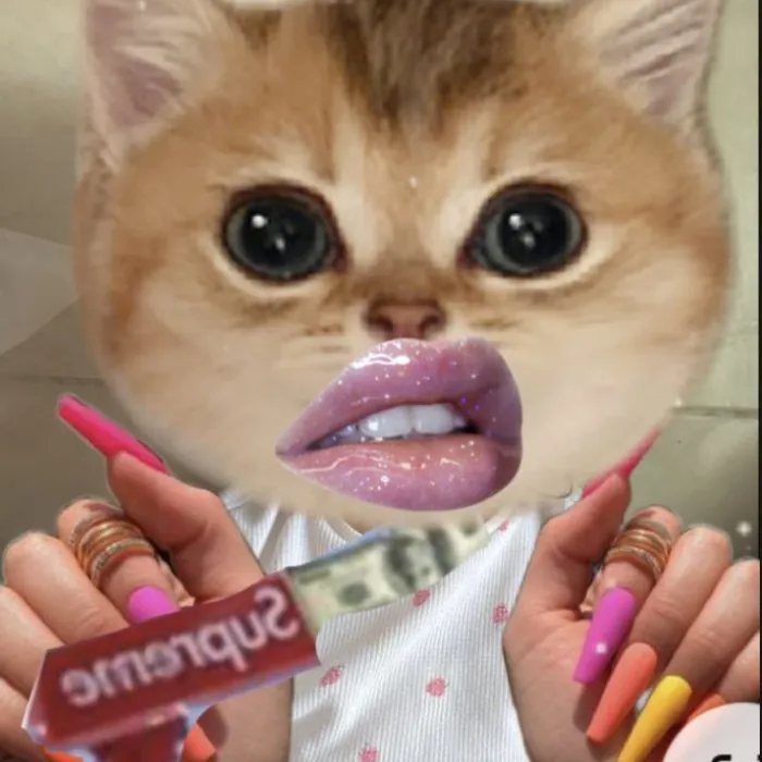 Tuyển tập 108+ meme slay hot nhất hiện nay Tuyển tập 108+ meme slay hot nhất hiện nay