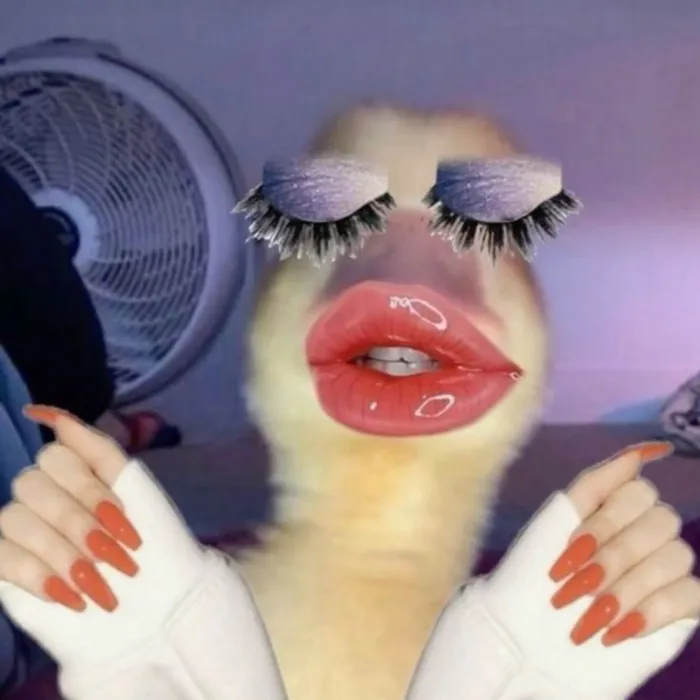 Tuyển tập 108+ meme slay hot nhất hiện nay Tuyển tập 108+ meme slay hot nhất hiện nay