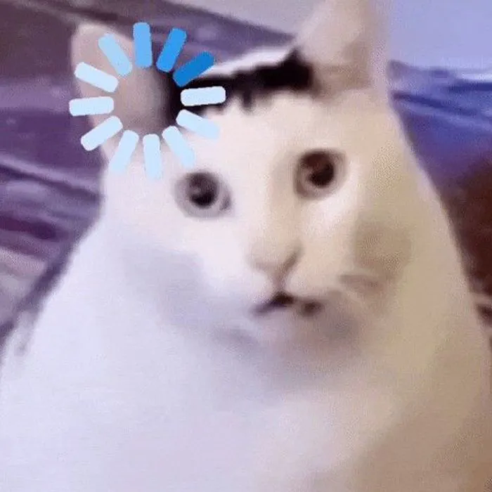 Meme sốc: Top 98+ khoảnh khắc khiến bạn cười ra nước mắt