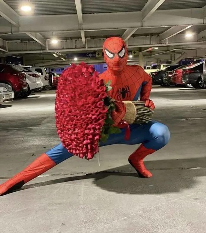 Khám phá 108+ meme spiderman hài hước nhất mọi thời đại Khám phá 108+ meme spiderman hài hước nhất mọi thời đại