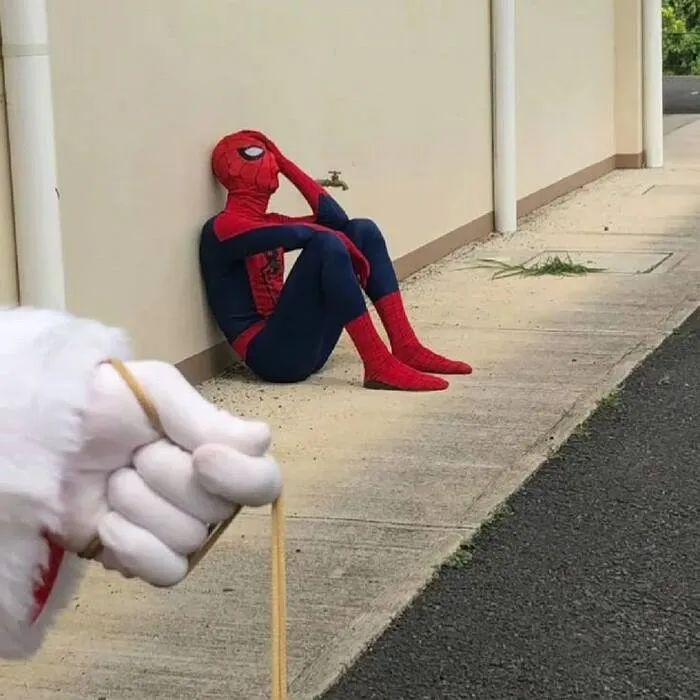 Khám phá 108+ meme spiderman hài hước nhất mọi thời đại Khám phá 108+ meme spiderman hài hước nhất mọi thời đại