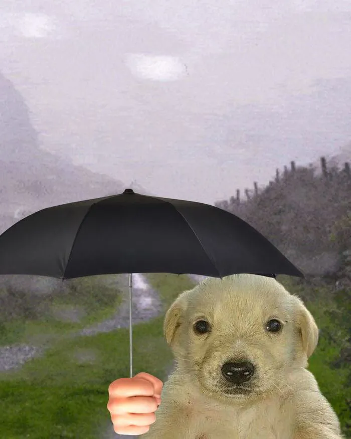 Top 99+ meme suy nghĩ hài hước, cười ra nước mắt Top 99+ meme suy nghĩ hài hước, cười ra nước mắt