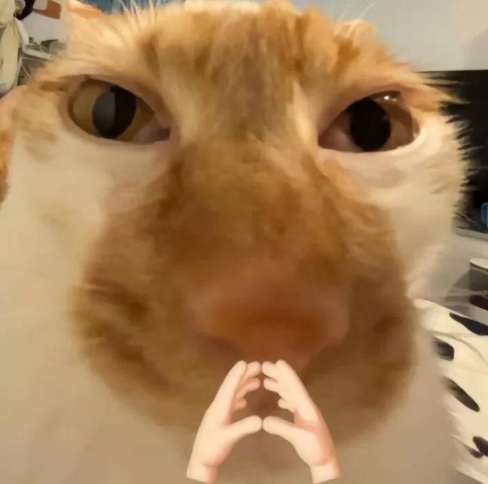Top 99+ meme suy nghĩ hài hước, cười ra nước mắt Top 99+ meme suy nghĩ hài hước, cười ra nước mắt
