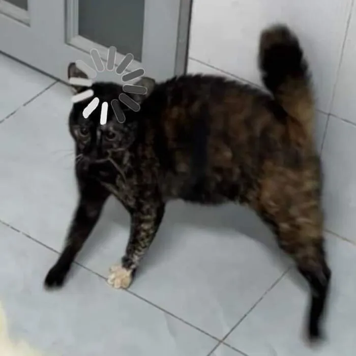 Top 99+ meme suy nghĩ hài hước, cười ra nước mắt Top 99+ meme suy nghĩ hài hước, cười ra nước mắt