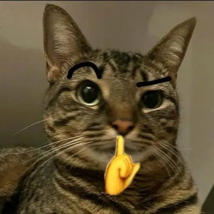 Top 99+ meme suỵt hài hước nhất, giải trí cực đã