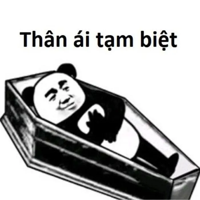 Tổng hợp 145+ meme tạm biệt hài hước, ý nghĩa cho mọi cuộc chia ly