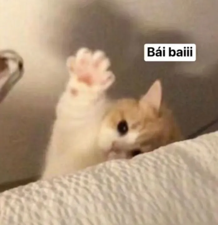 Tổng hợp 145+ meme tạm biệt hài hước, ý nghĩa cho mọi cuộc chia ly