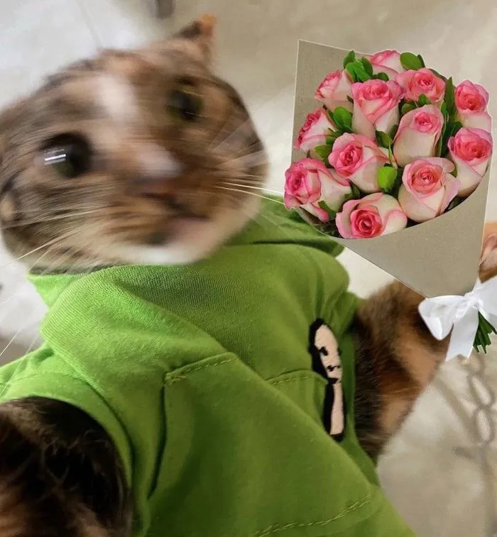 Tuyển tập 98+ meme tặng hoa độc đáo, hài hước