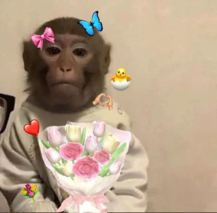 Tuyển tập 98+ meme tặng hoa độc đáo, hài hước