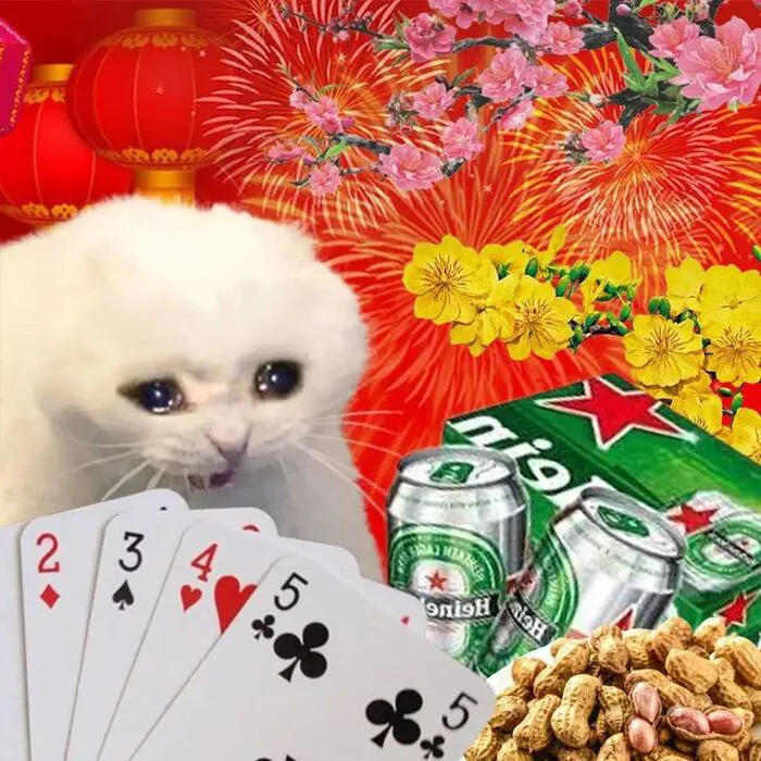Top 145+ meme tết độc đáo, giải trí cực đỉnh ngày xuân