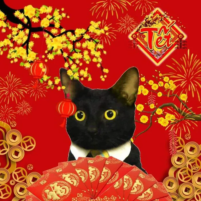Top 145+ meme tết độc đáo, giải trí cực đỉnh ngày xuân