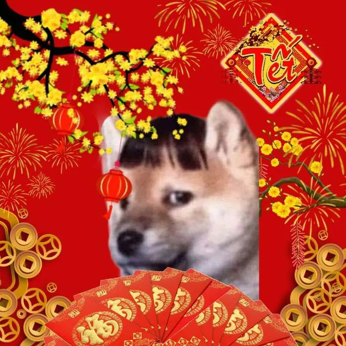 Top 145+ meme tết độc đáo, giải trí cực đỉnh ngày xuân