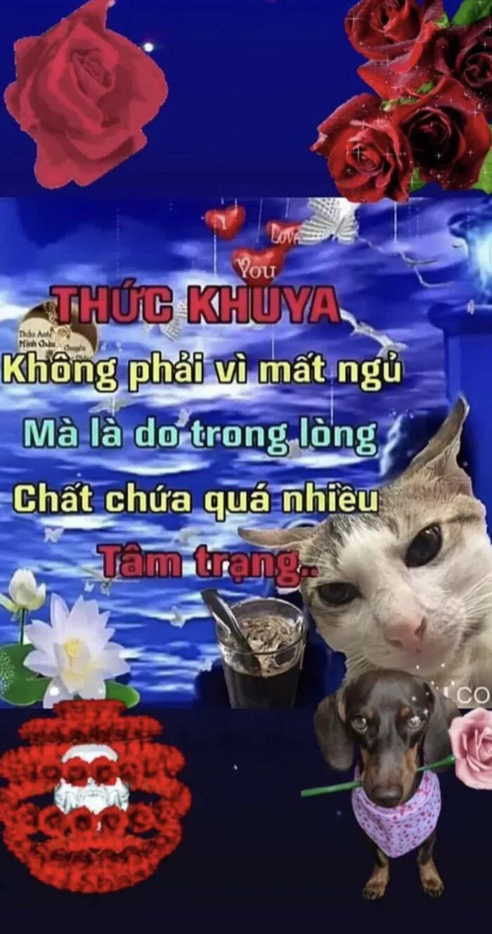 Khám phá 98+ meme thả thính cực hài hước cho bạn Khám phá 98+ meme thả thính cực hài hước cho bạn