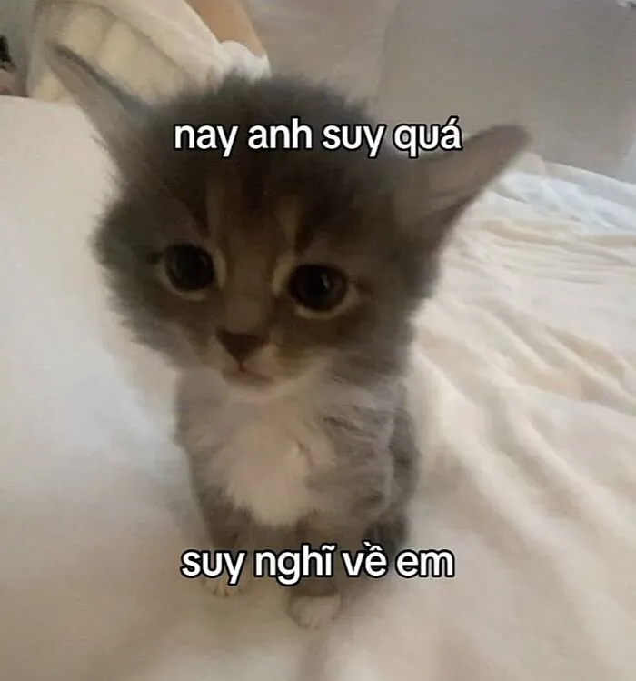 Khám phá 98+ meme thả thính cực hài hước cho bạn Khám phá 98+ meme thả thính cực hài hước cho bạn