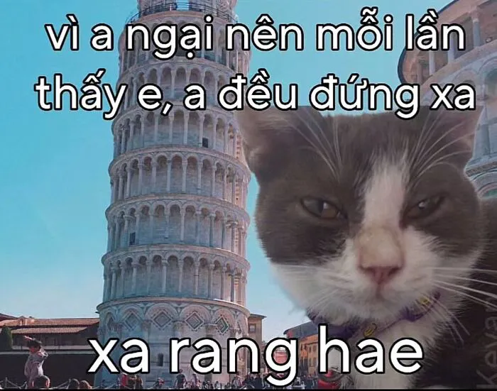 Khám phá 98+ meme thả thính cực hài hước cho bạn Khám phá 98+ meme thả thính cực hài hước cho bạn