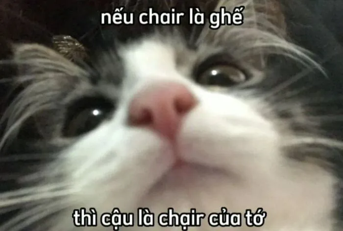Khám phá 98+ meme thả thính cực hài hước cho bạn Khám phá 98+ meme thả thính cực hài hước cho bạn