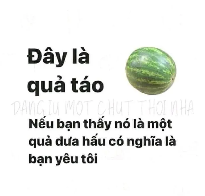 Khám phá 98+ meme thả thính cực hài hước cho bạn Khám phá 98+ meme thả thính cực hài hước cho bạn