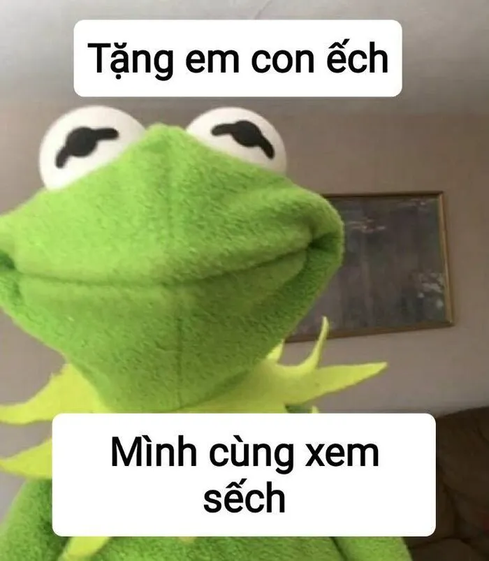 Khám phá 98+ meme thả thính cực hài hước cho bạn Khám phá 98+ meme thả thính cực hài hước cho bạn
