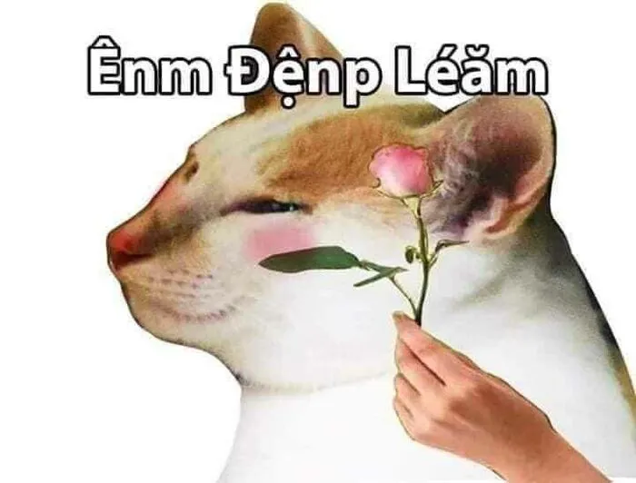 Khám phá 98+ meme thả thính cực hài hước cho bạn Khám phá 98+ meme thả thính cực hài hước cho bạn