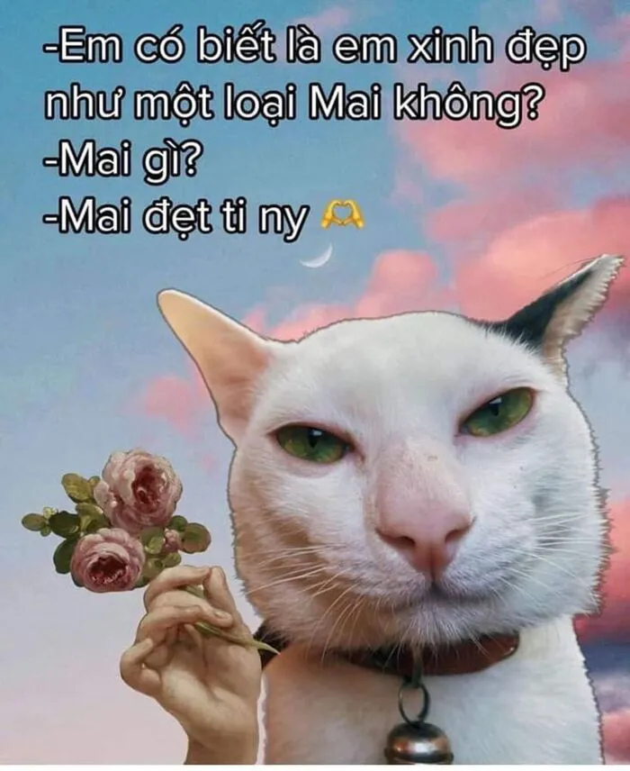 Khám phá 98+ meme thả thính cực hài hước cho bạn Khám phá 98+ meme thả thính cực hài hước cho bạn