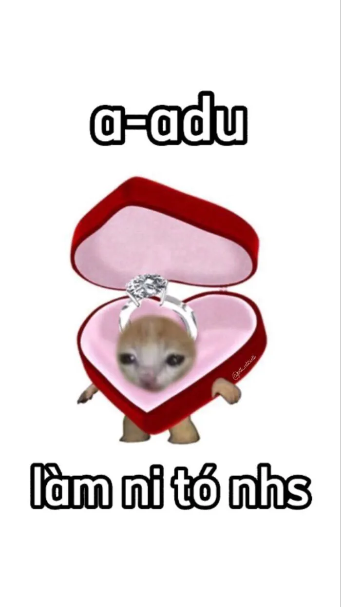 Khám phá 98+ meme thả thính cực hài hước cho bạn Khám phá 98+ meme thả thính cực hài hước cho bạn