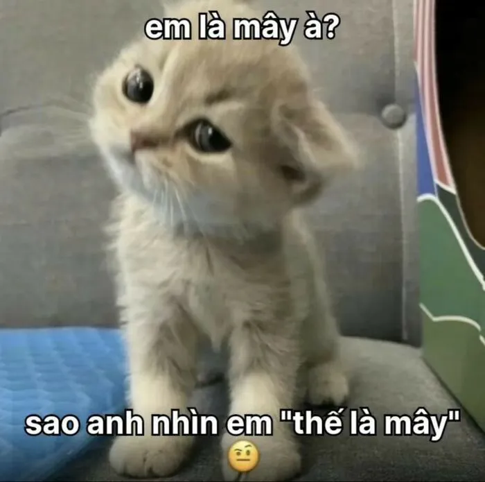 Khám phá 98+ meme thả thính cực hài hước cho bạn Khám phá 98+ meme thả thính cực hài hước cho bạn