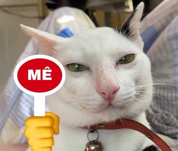 Khám phá 98+ meme thả thính cực hài hước cho bạn Khám phá 98+ meme thả thính cực hài hước cho bạn