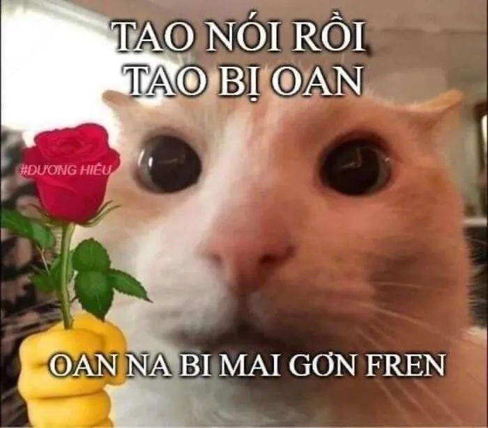 Khám phá 98+ meme thả thính cực hài hước cho bạn Khám phá 98+ meme thả thính cực hài hước cho bạn