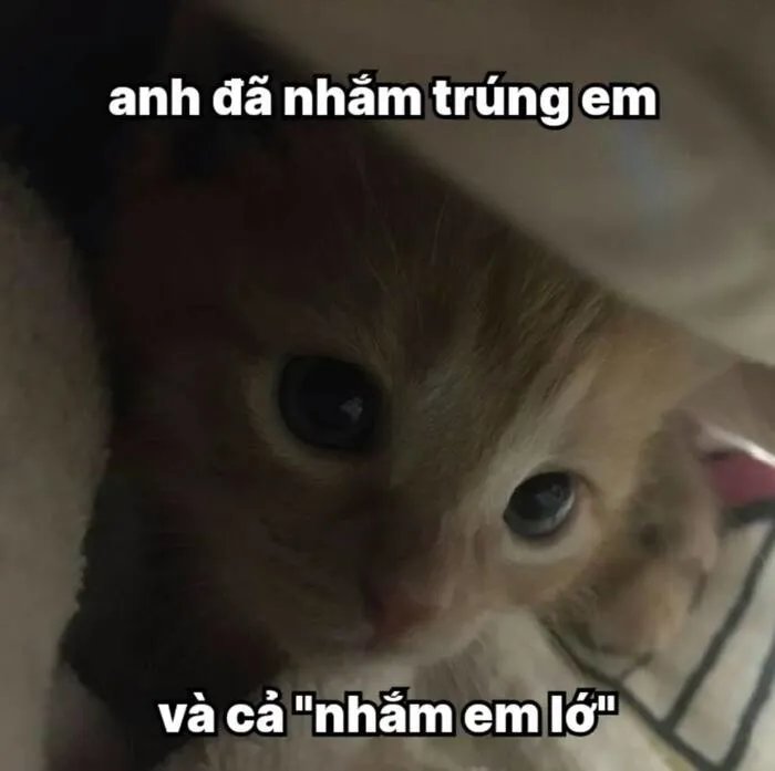 Khám phá 98+ meme thả thính cực hài hước cho bạn Khám phá 98+ meme thả thính cực hài hước cho bạn