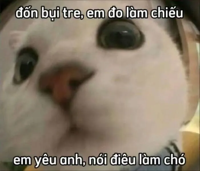 Khám phá 98+ meme thả thính cực hài hước cho bạn Khám phá 98+ meme thả thính cực hài hước cho bạn