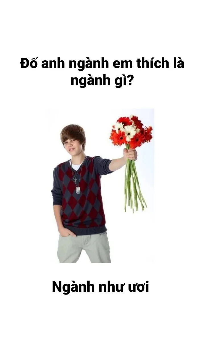 Khám phá 98+ meme thả thính cực hài hước cho bạn Khám phá 98+ meme thả thính cực hài hước cho bạn