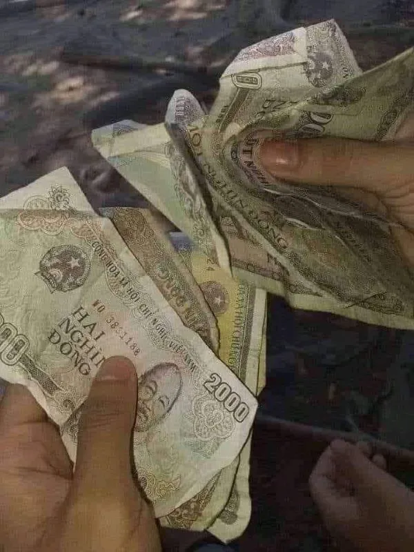 120+ meme tiền hài hước, vui nhộn: Cười thả ga cùng topanhanime.com 120+ meme tiền hài hước, vui nhộn: Cười thả ga cùng topanhanime.com