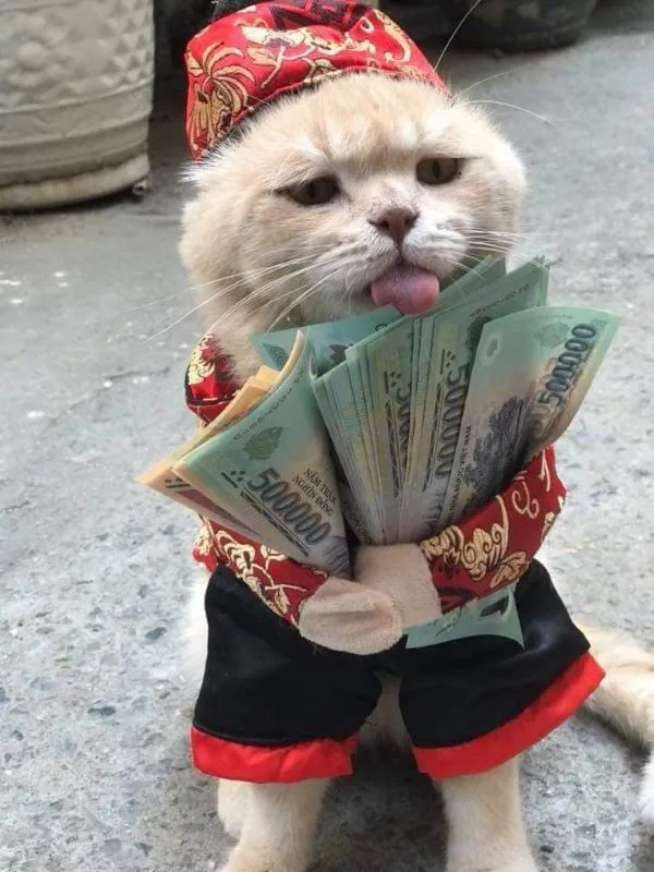 120+ meme tiền hài hước, vui nhộn: Cười thả ga cùng topanhanime.com 120+ meme tiền hài hước, vui nhộn: Cười thả ga cùng topanhanime.com