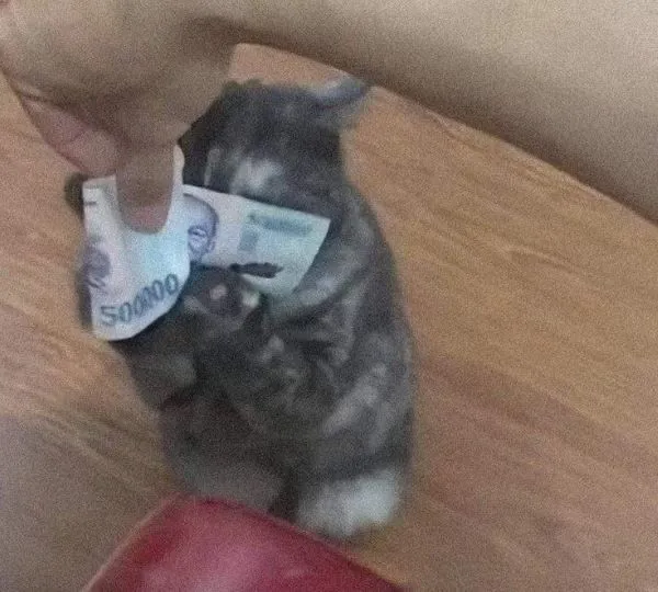 120+ meme tiền hài hước, vui nhộn: Cười thả ga cùng topanhanime.com 120+ meme tiền hài hước, vui nhộn: Cười thả ga cùng topanhanime.com