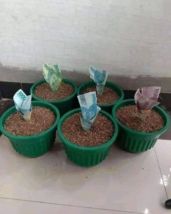 120+ meme tiền hài hước, vui nhộn: Cười thả ga cùng topanhanime.com 120+ meme tiền hài hước, vui nhộn: Cười thả ga cùng topanhanime.com