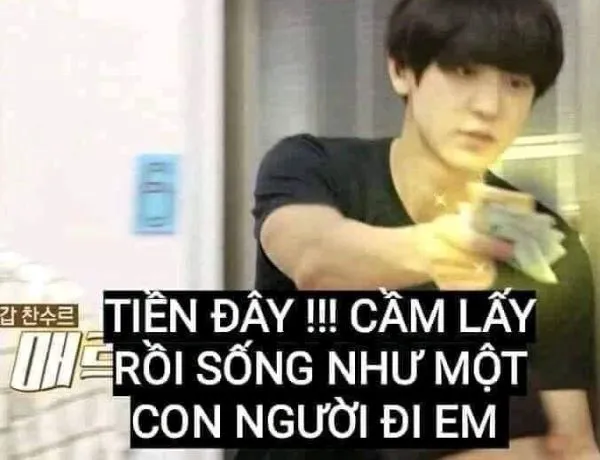 120+ meme tiền hài hước, vui nhộn: Cười thả ga cùng topanhanime.com 120+ meme tiền hài hước, vui nhộn: Cười thả ga cùng topanhanime.com