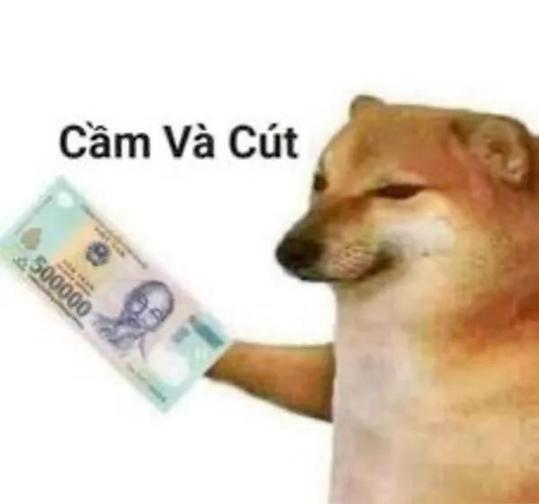 120+ meme tiền hài hước, vui nhộn: Cười thả ga cùng topanhanime.com 120+ meme tiền hài hước, vui nhộn: Cười thả ga cùng topanhanime.com