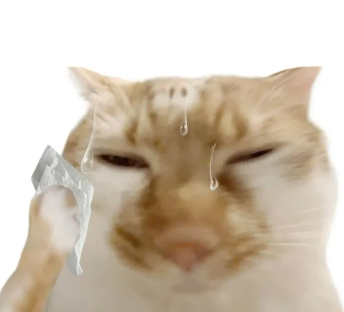 Hơn 150+ meme toát mồ hôi hài hước, cười ra nước mắt Hơn 150+ meme toát mồ hôi hài hước, cười ra nước mắt